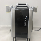 Kriolipoliza Maszyna do zamrażania tłuszczu Cryo Beauty Equipment do utraty tłuszczu z 4 uchwytami Maszyna do odchudzania