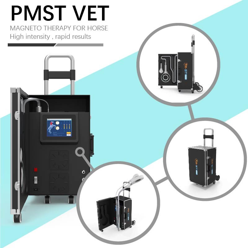 Maszyna do terapii falami uderzeniowymi EMTT 4 Urządzenie weterynaryjne Tesli do stymulacji mięśni koni