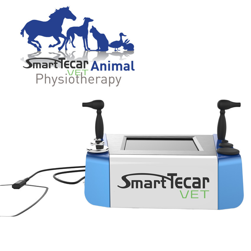 Przenośna maszyna do fizjoterapii weterynaryjnej Tecar dla zwierząt domowych Psy Koty Ulga w bólu